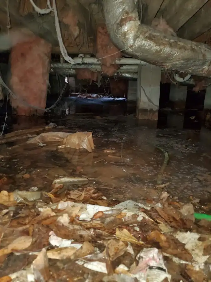 Crawl space flood assessment for Leak Detection & Repair in Camillus